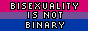 bisexuality is not binary