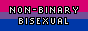 nonbinary bisexual