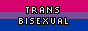 trans bisexual