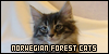 A Norwegian Forest cats fanlisting button
